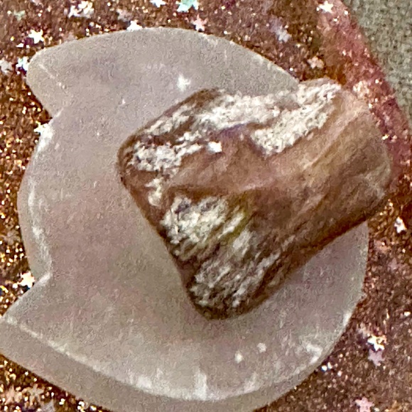 Petrified Wood - Picture 4 of 5